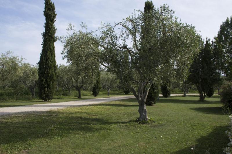 Agriturismo Scuderie Della Contea Sutri Exterior foto