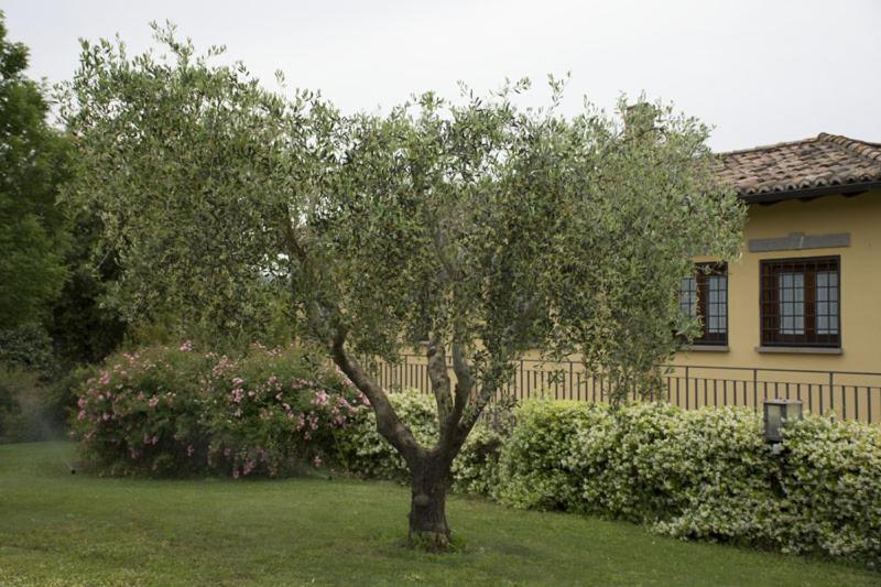 Agriturismo Scuderie Della Contea Sutri Exterior foto